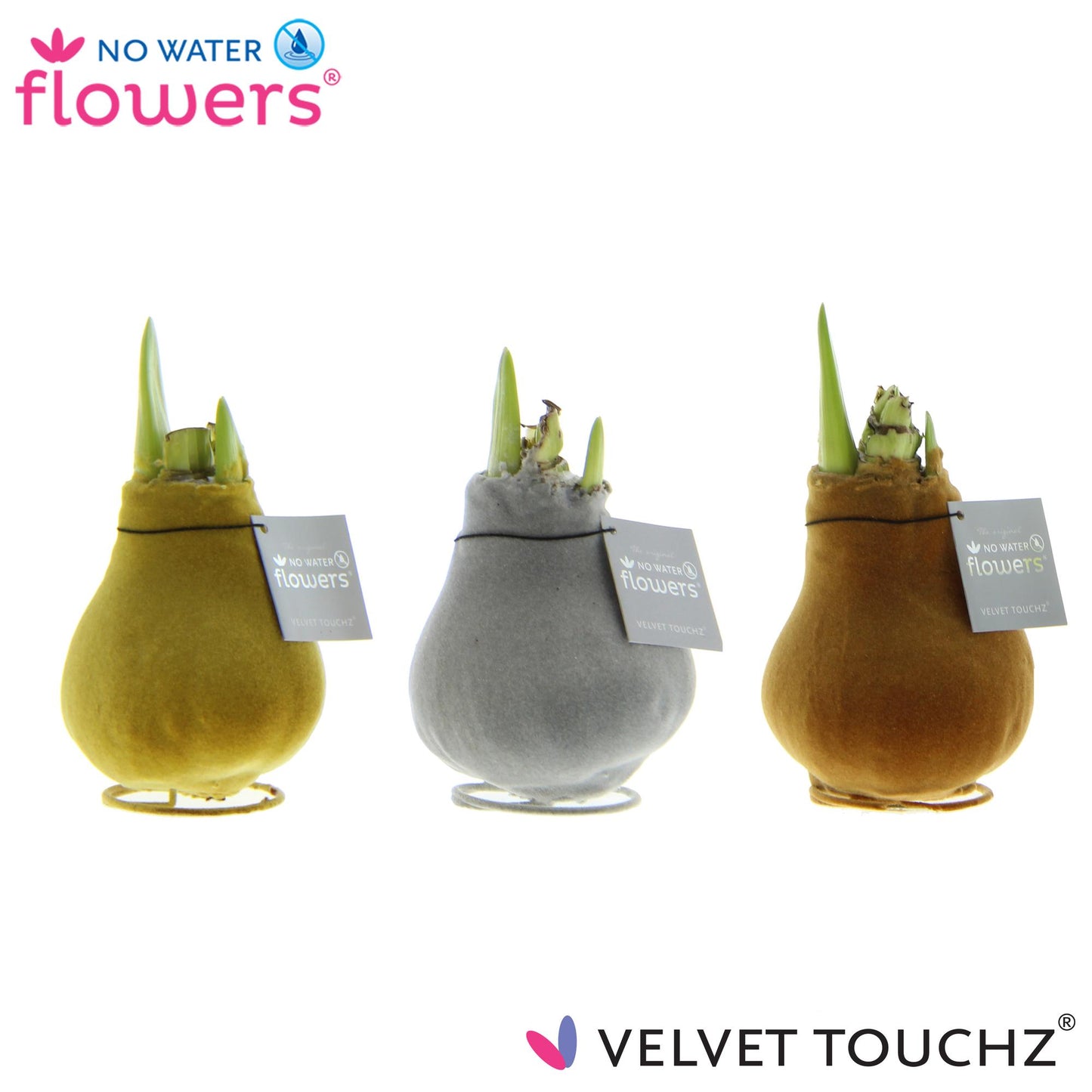No Water Flowers Velvet Touchz Metallic Mix - 3 Stücke - Ø7 cm - ↕15 cm bei Pflanzfix24