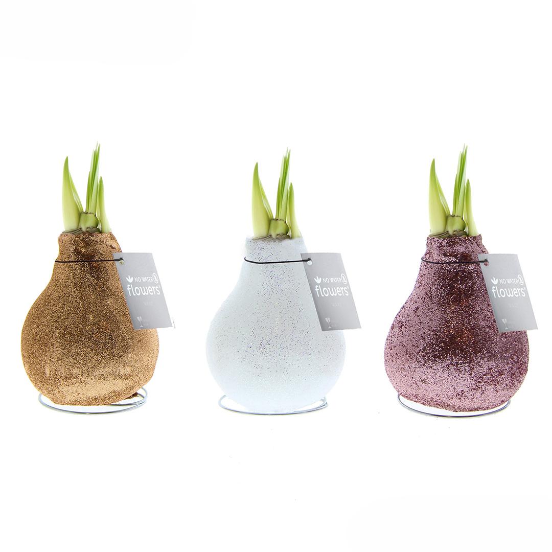 No Water Flowers® (wax amaryllis) | Glitterz® Charm Mix (3 pack) + Red flower - Pflanzfix24