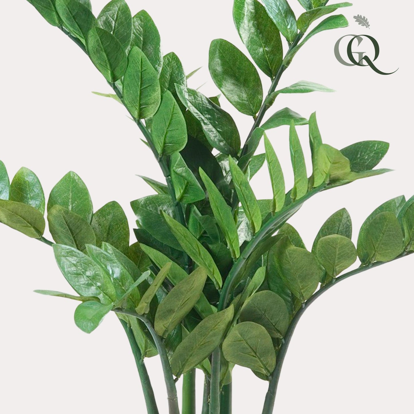 Kunst-Zamioculcas (Zimmerpalme) 70 cm – Pflegeleichte Deko | Pflanzfix24.de - Pflanzfix24.de