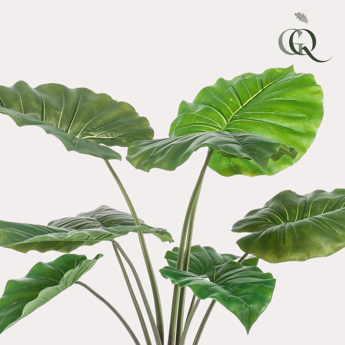 Kunst-Alocasia 70 cm – Pflanzfix24.de - Pflanzfix24.de