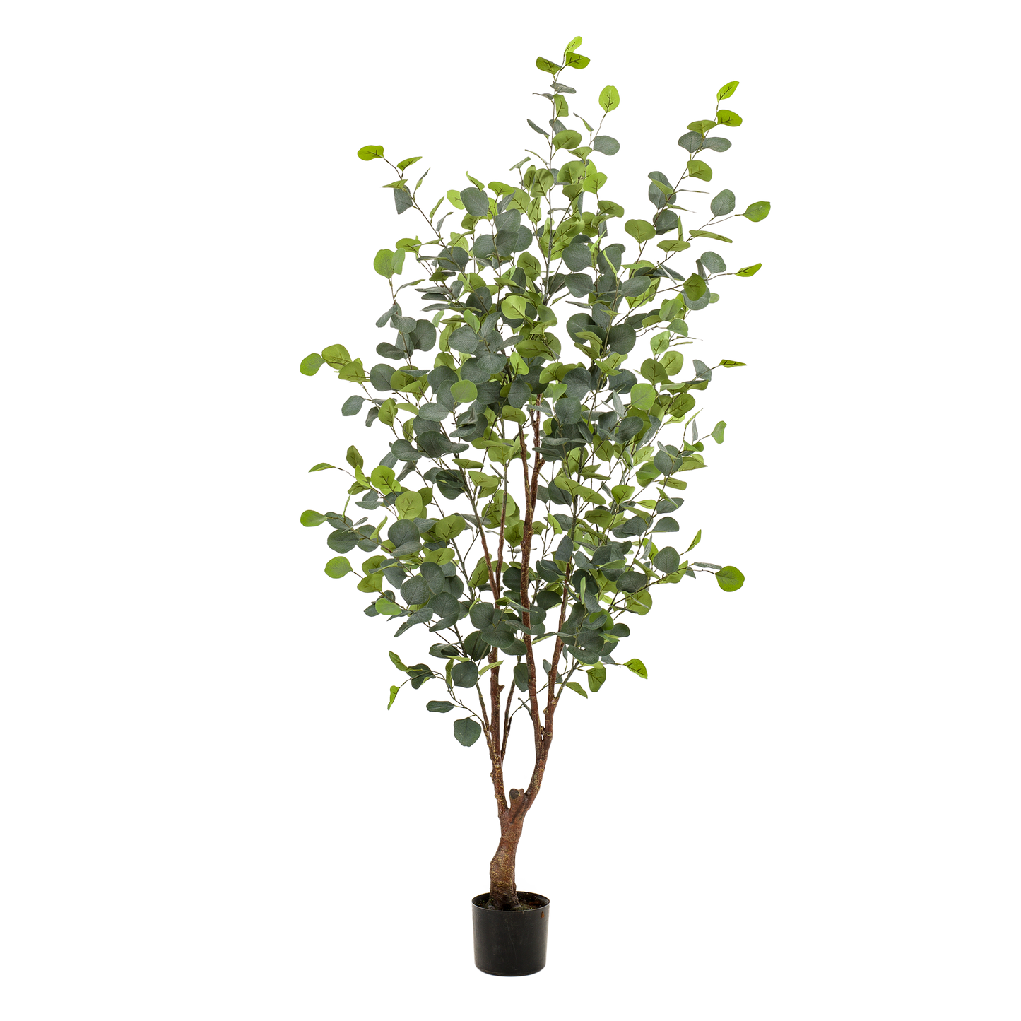 Eucalyptusbaum Kunstpflanze 140cm – Blauer Gummibaum | Pflanzfix24.de - Pflanzfix24.de