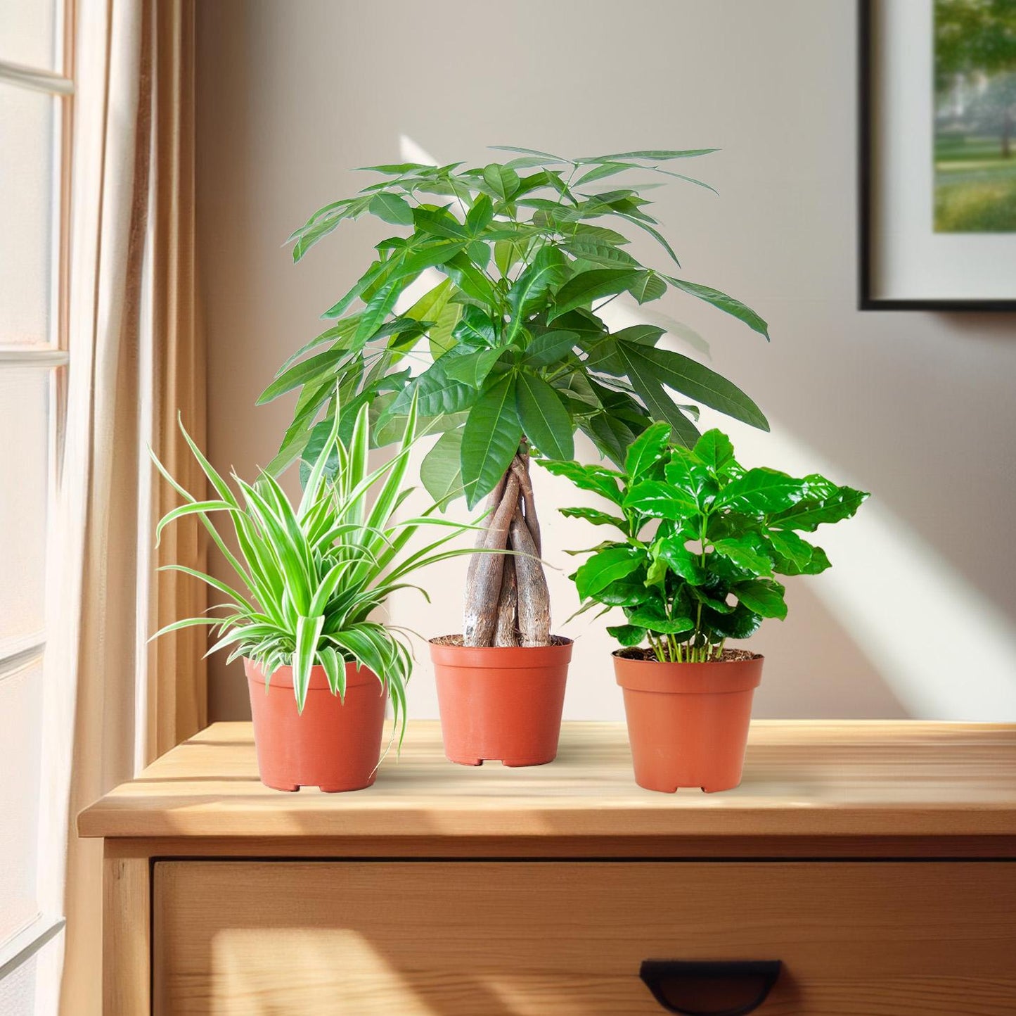 Tierfreundliche Plant Box klein ohne Dekotopf Ø12 | Pflanzfix24.de - Pflanzfix24.de