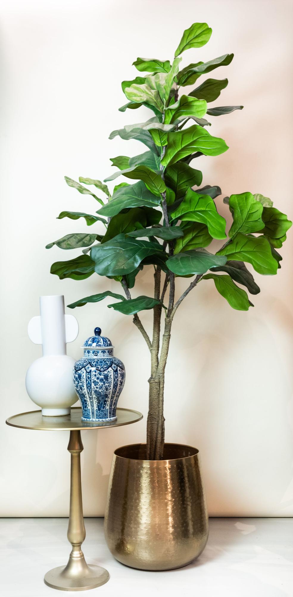 Ficus Lyrata Kunstpflanze 180cm – Tabakpflanze | Pflanzfix24.de - Pflanzfix24.de