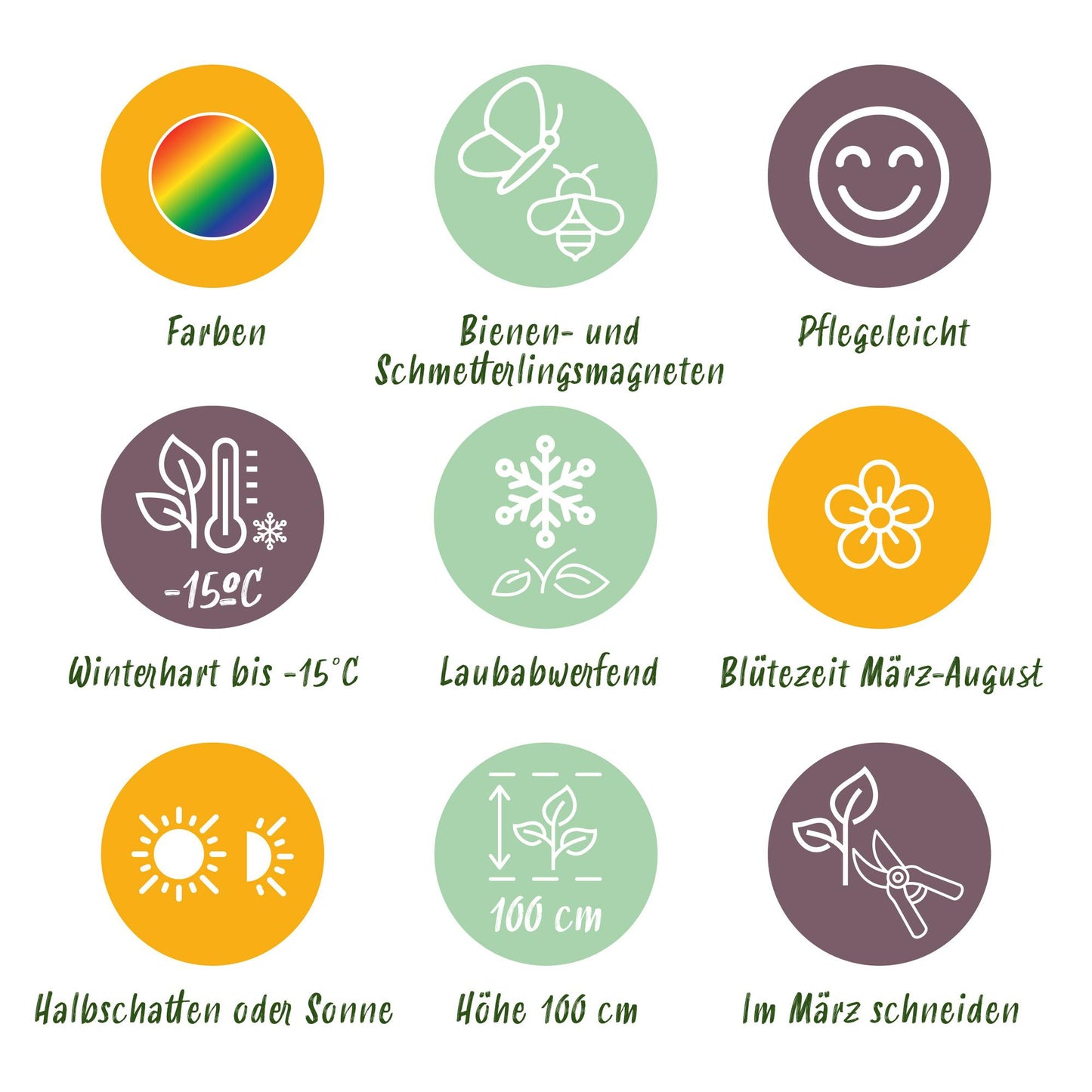 GreenboutiQ - Staudenpaket Weiß - 24 Stauden - 3 m2 - Wenig Pflege - Pflanzfix24.de - Pflanzfix24.de