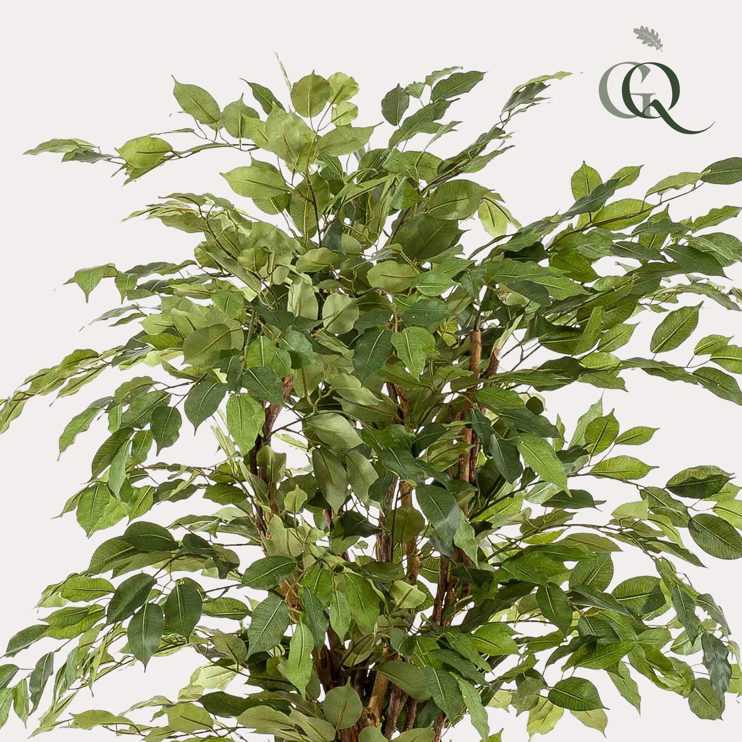 Kunst-Ficus Liana 170 cm – Realistische Deko | Pflanzfix24.de - Pflanzfix24.de