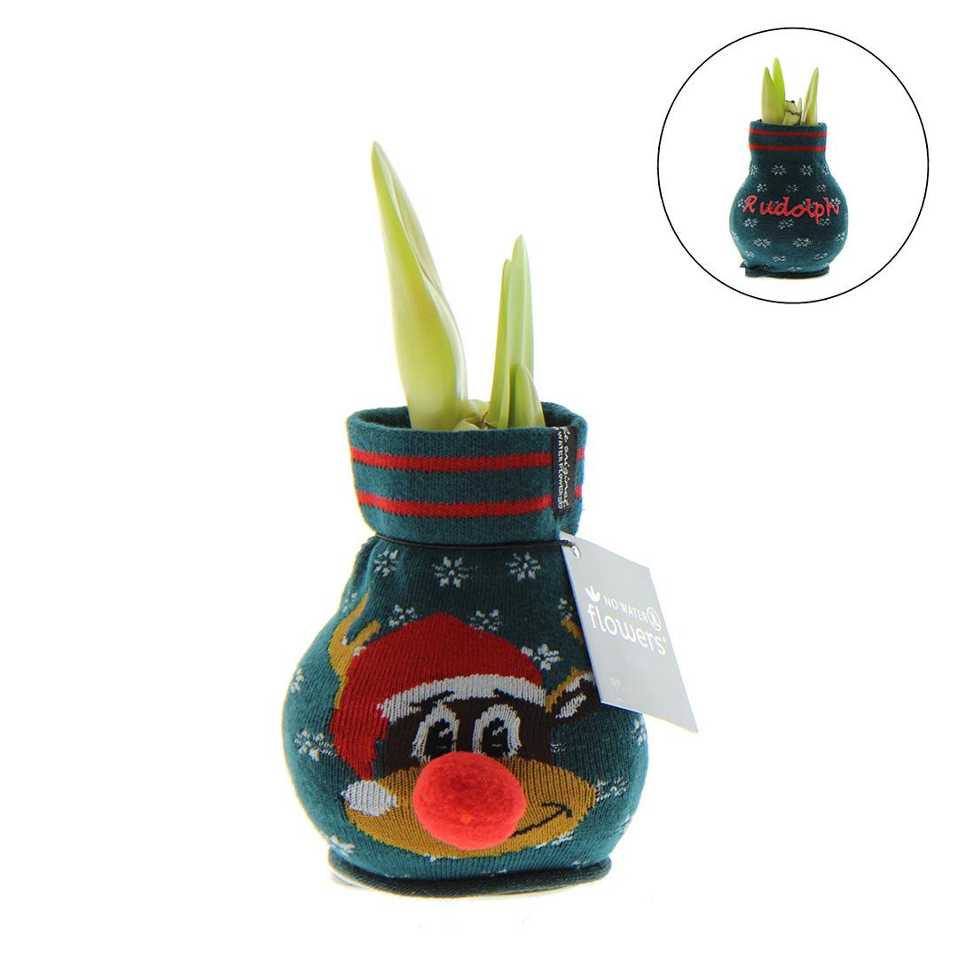 No Water Flowers® Fashionz Xmas Fun Silly - Rudolp Green + Red flower - Pflanzfix24