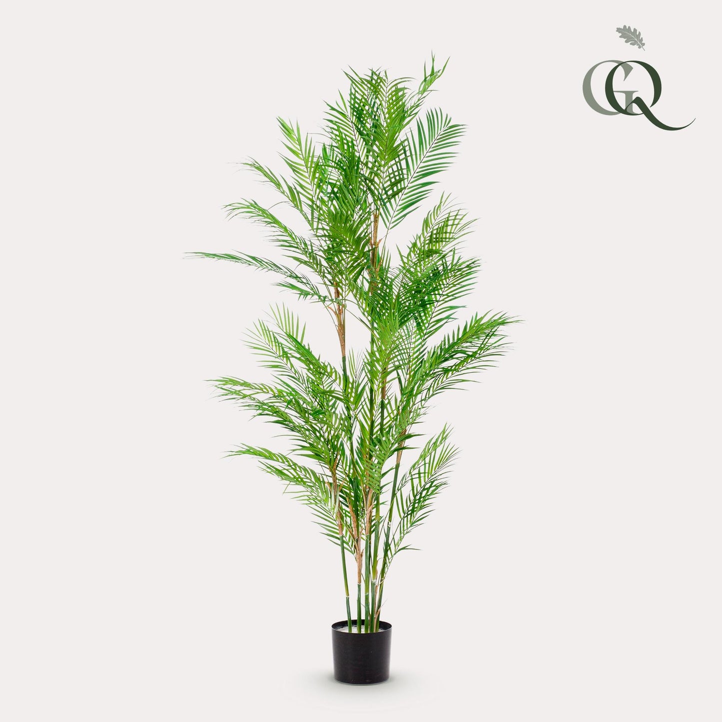Kunstpflanze Chamaedorea Elegans Bergpalme 180 cm – Pflanzfix24