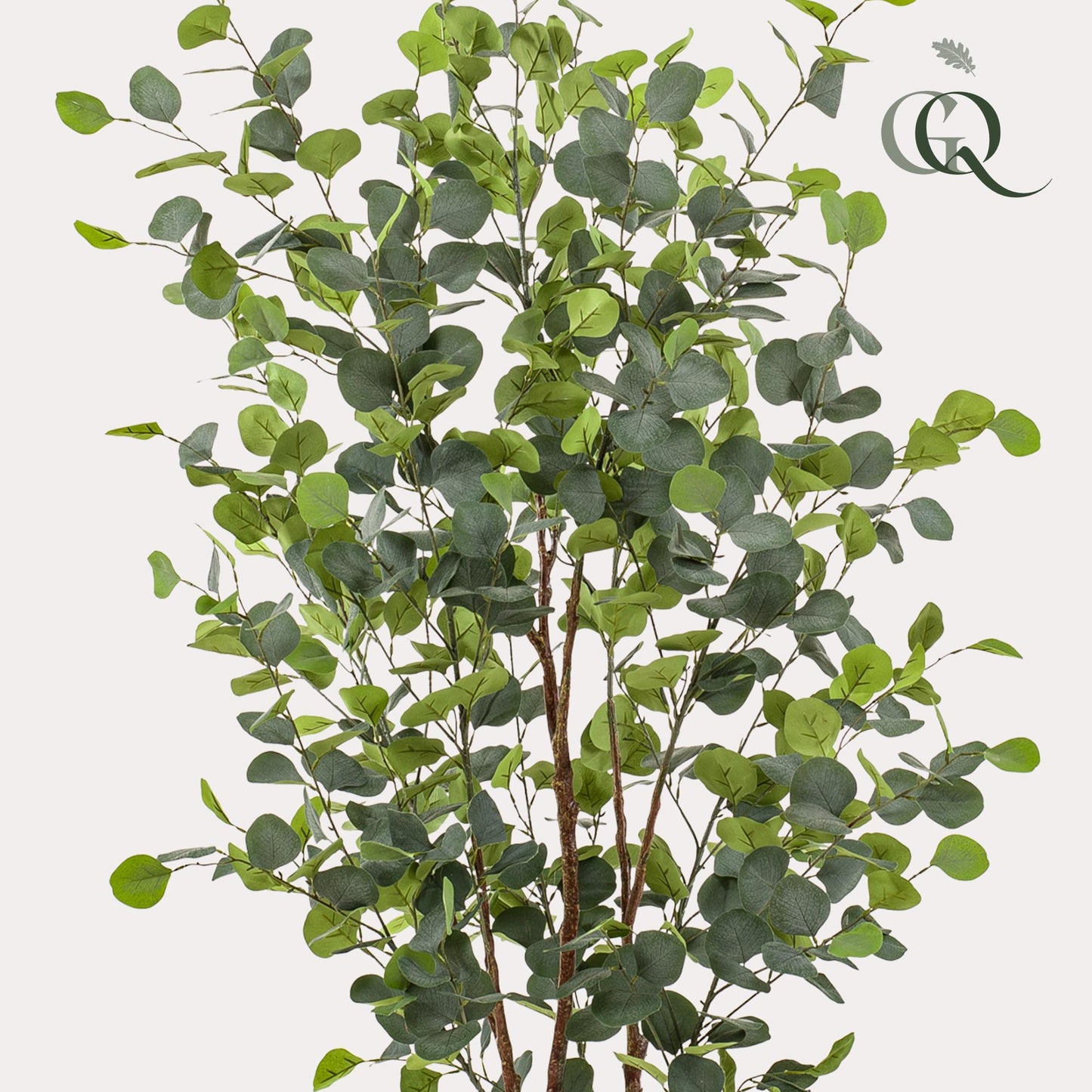 Eucalyptusbaum Kunstpflanze 140cm – Blauer Gummibaum | Pflanzfix24.de - Pflanzfix24.de