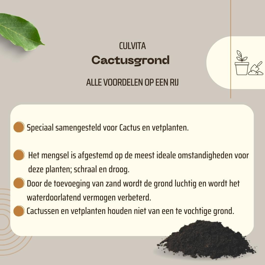 Culvita - Cactusgrond 5 liter - Blumenerde für Kakteen und Sukkulenten - Pflanzfix24.de - Pflanzfix24.de