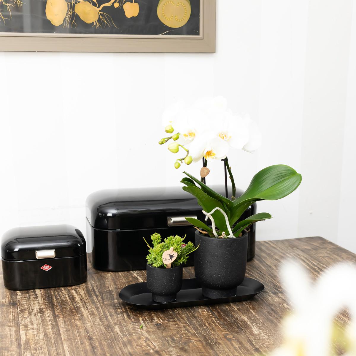 Ovales Tablett Schwarz Ø30cm – Kolibri Home | Pflanzfix24.de - Pflanzfix24.de