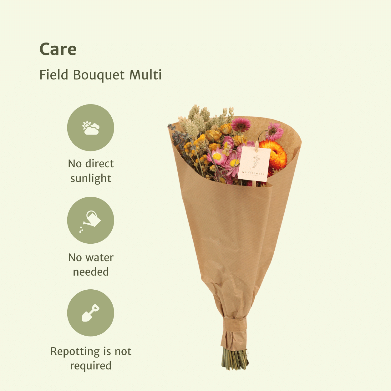 Trockenblumen Feldblumenstrauß Multi Ø15cm | Pflanzfix24.de - Pflanzfix24.de