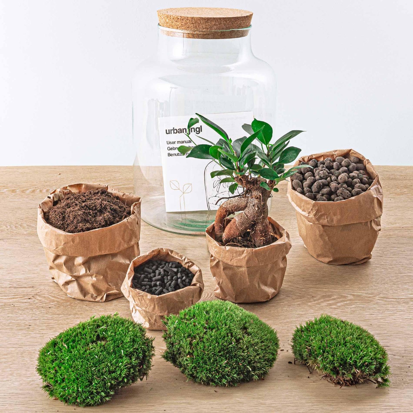 Flaschengarten - Milky mit Bonsai - ↕ 30 cm - Rake + Shovel + Tweezer + Scissors - Pflanzfix24.de - Pflanzfix24.de