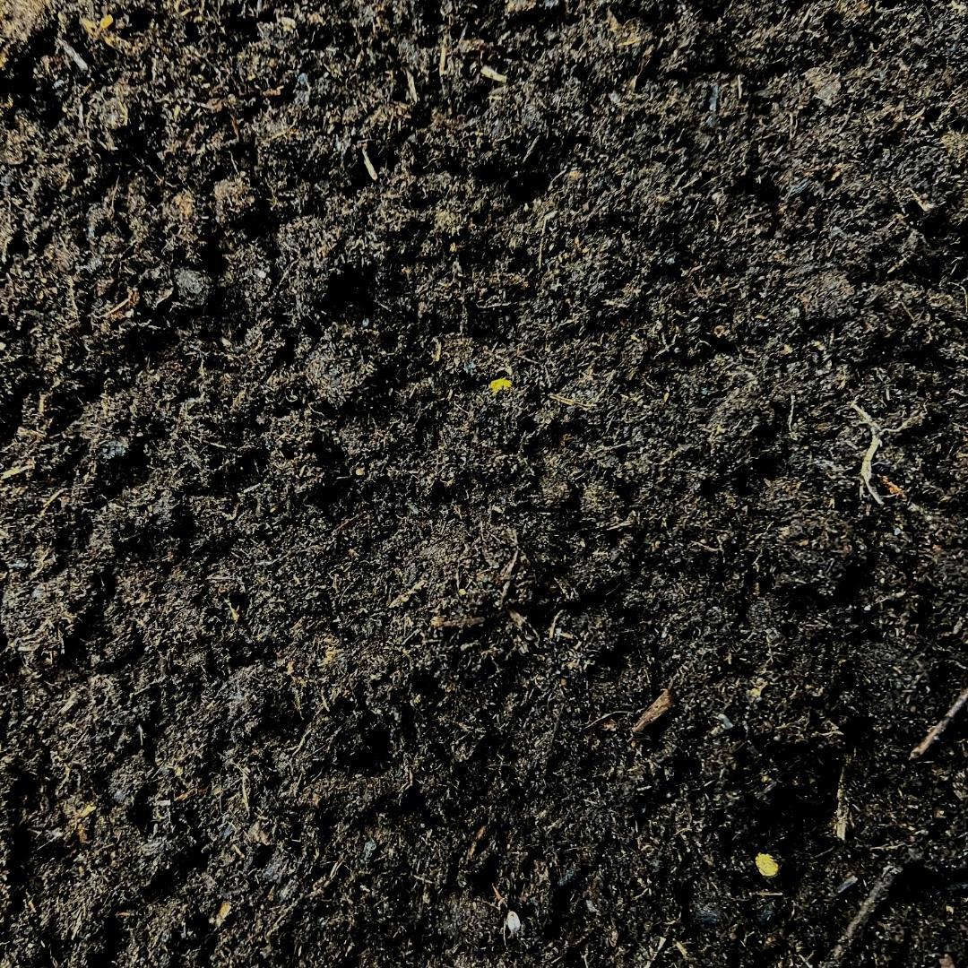 Culvita - Blumenerde Spezial mit 6 Monaten Düngung 40 Liter - Premium Erde für Zimmer- & Gartenpflanzen - inkl. EasyCoat Pflanzendünger - Pflanzfix24.de - Pflanzfix24.de