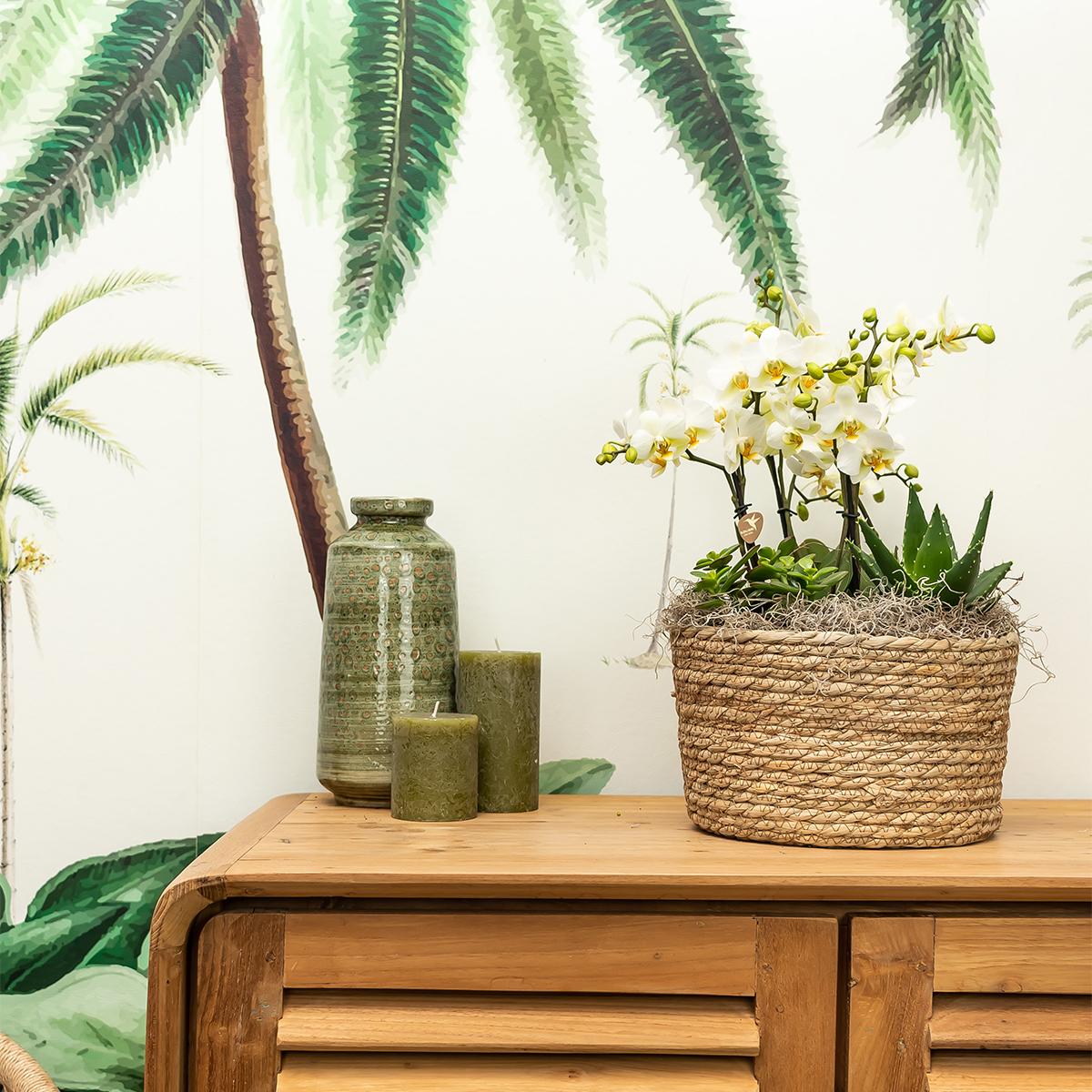 Reed Basket Blumenschale Ø30cm – Kolibri Home | Pflanzfix24.de - Pflanzfix24.de