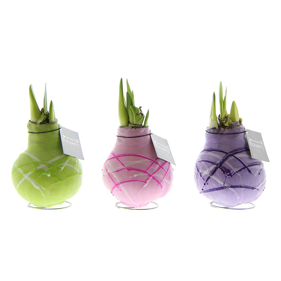 No Water Flowers® Waxz® Art Monet Mix (3er Pack) + Rote Blume - Pflanzfix24