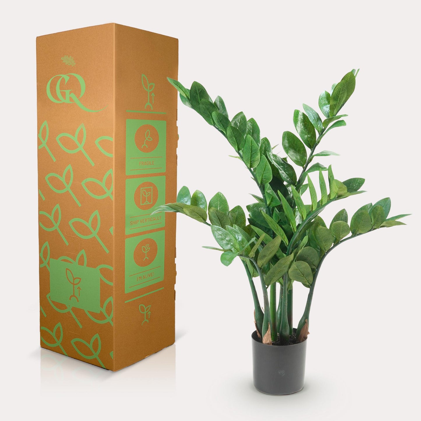Kunst-Zamioculcas (Zimmerpalme) 70 cm – Pflegeleichte Deko | Pflanzfix24.de - Pflanzfix24.de