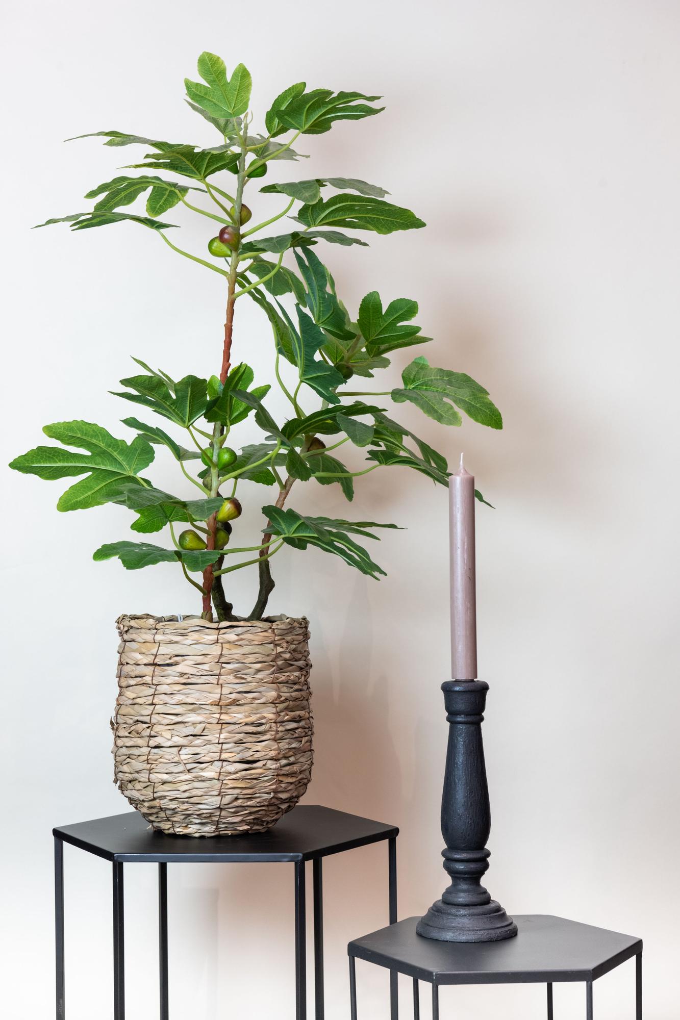 Ficus Carica Kunstfeigenbaum 95cm – Mediterran | Pflanzfix24.de - Pflanzfix24.de