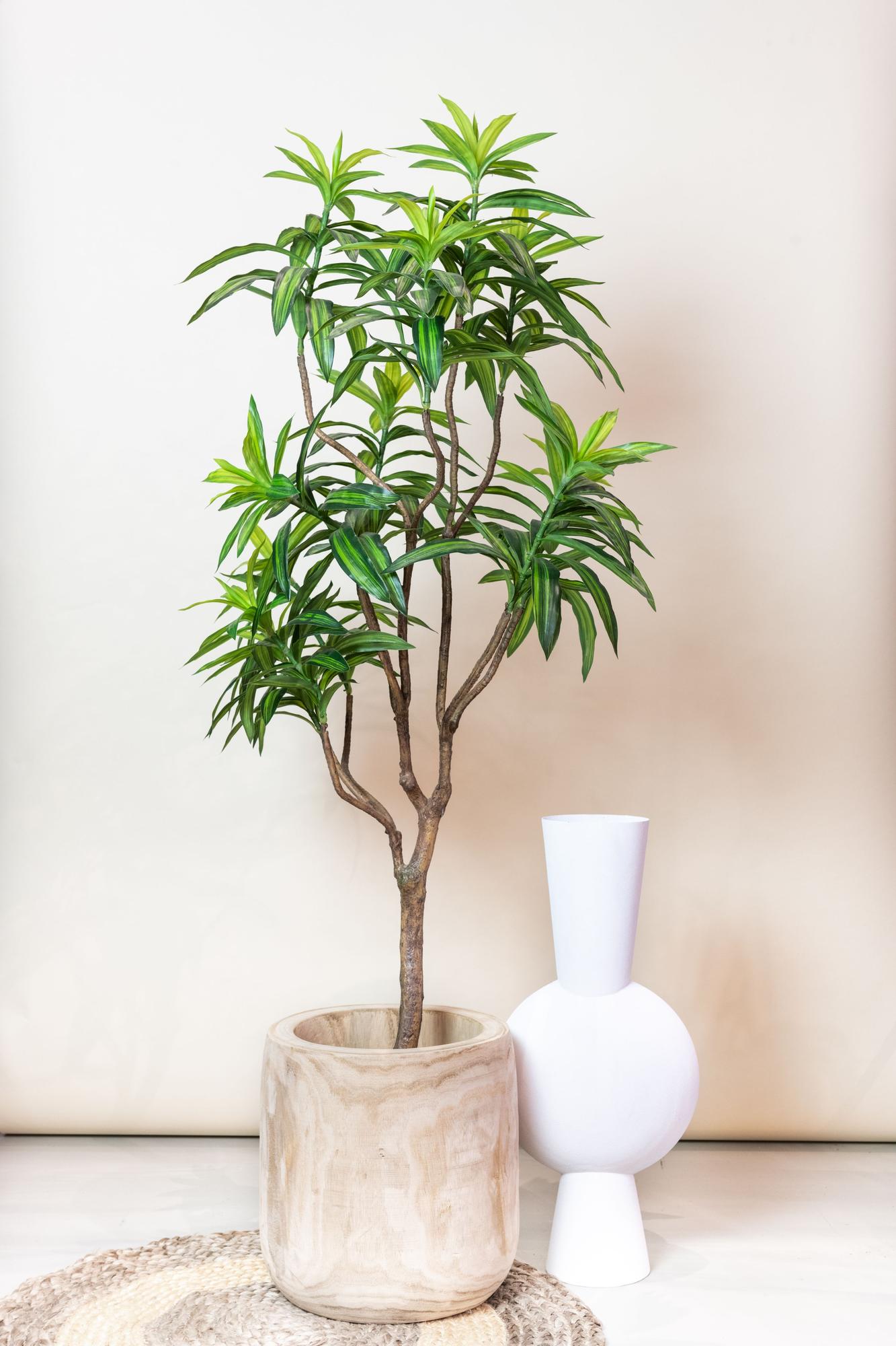 Dracaena Kunstpflanze 130cm – Drachenbaum | Pflanzfix24.de - Pflanzfix24.de