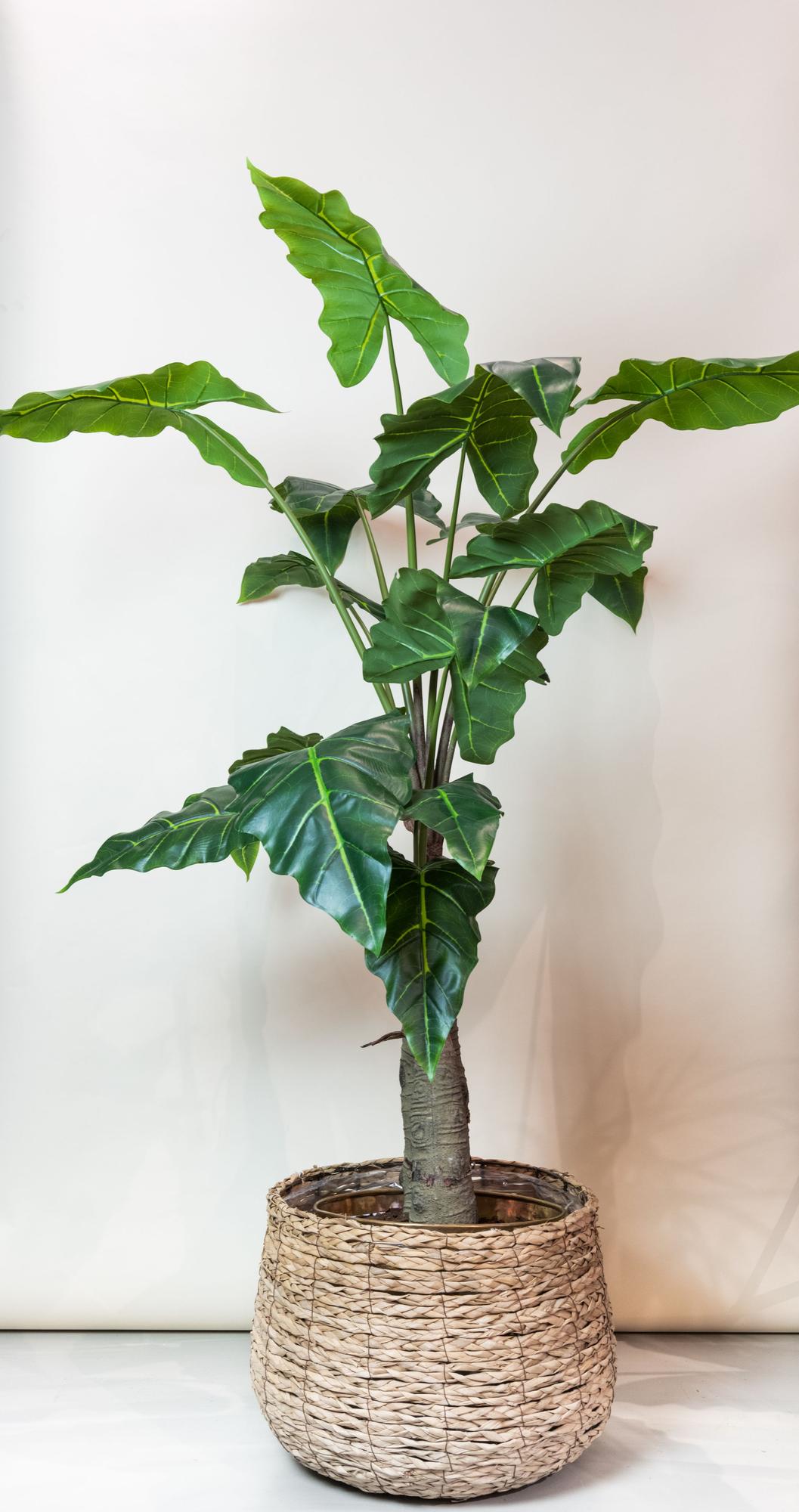 Kunst-Alocasia 150 cm – Pflanzfix24.de - Pflanzfix24.de