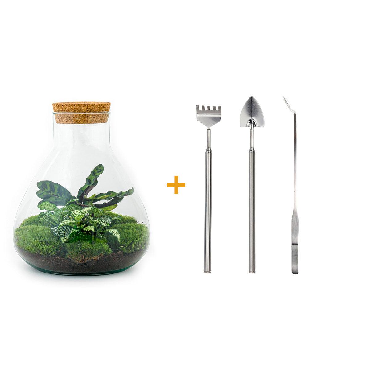 Flaschengarten - Sammie - DIY-Set - Pflanzfix24.de - Pflanzfix24.de
