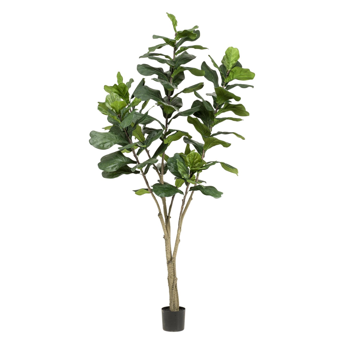 Kunstpflanze Ficus Lyrata 210 cm | Pflanzfix24.de - Pflanzfix24.de