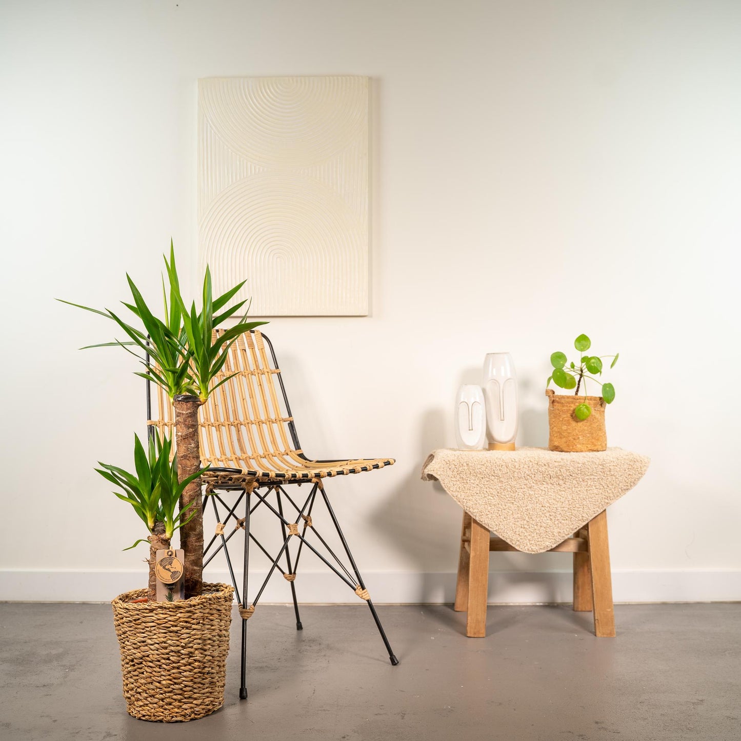 Yucca mit Korb - ↨100cm - Ø21cm - Pflanzfix24