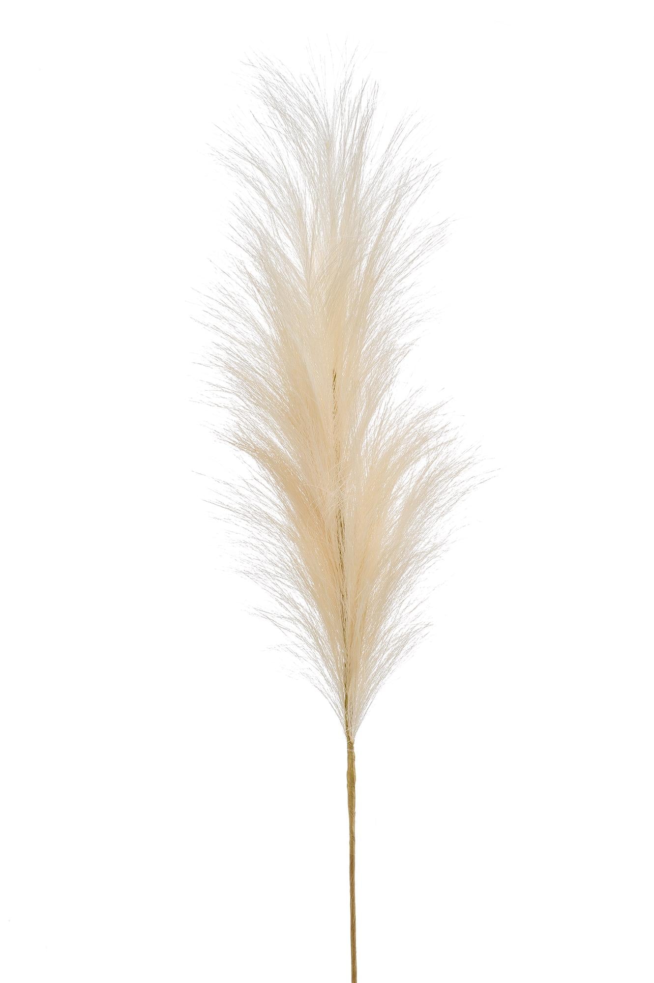 Pampas Pluimen Kunstbloemen - Crème - Set van 6 - 115cm - Pflanzfix24