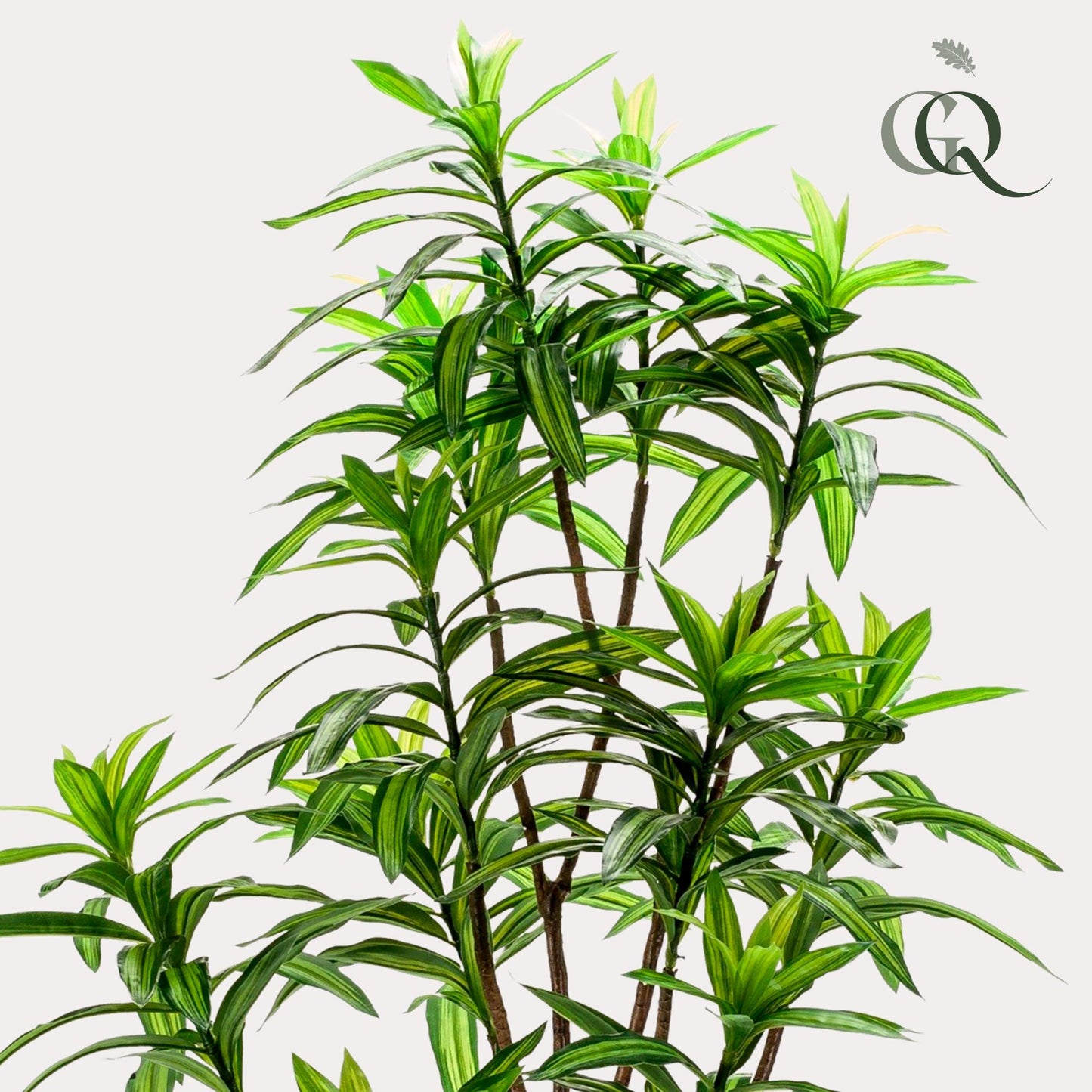 Dracaena Kunstpflanze 130cm – Drachenbaum | Pflanzfix24.de - Pflanzfix24.de