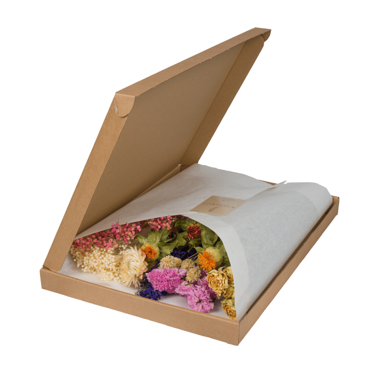 Trockenblumen Multi im Briefkasten – Pflanzfix24.de - Pflanzfix24.de