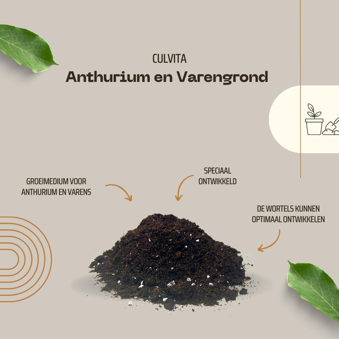 Culvita - Anthurium and Fernerde 5 Liter - Blumenerde - Pflanzfix24.de - Pflanzfix24.de