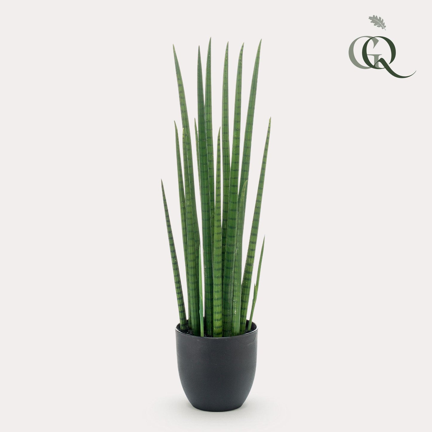 Kunst-Sansevieria Cylindrica 70 cm – Frauenzunge | Pflanzfix24.de - Pflanzfix24.de