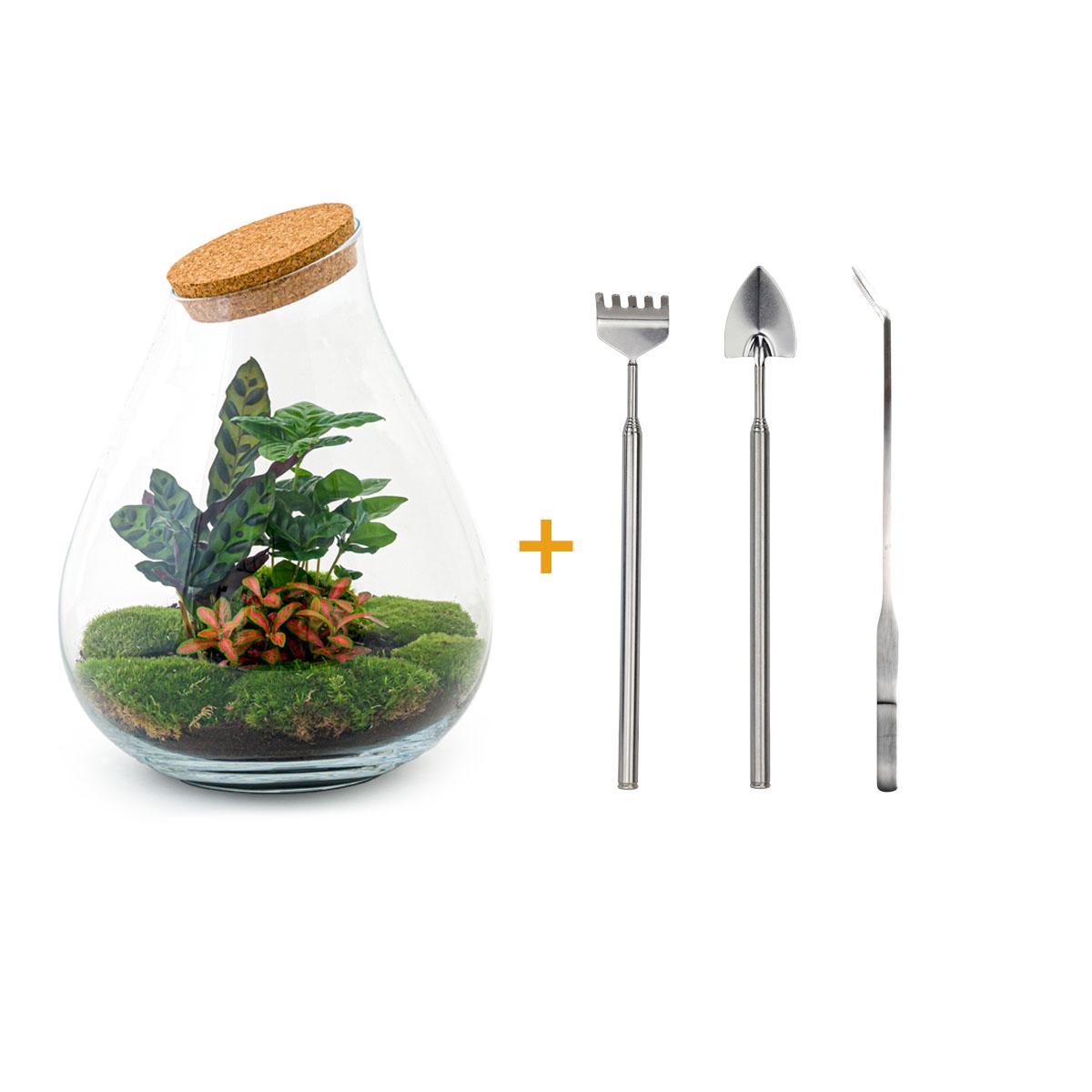 Flaschengarten - Drop XL Rot - ↕ 37 cm - Rake + Shovel + Tweezer bei Pflanzfix24.de - Pflanzfix24.de