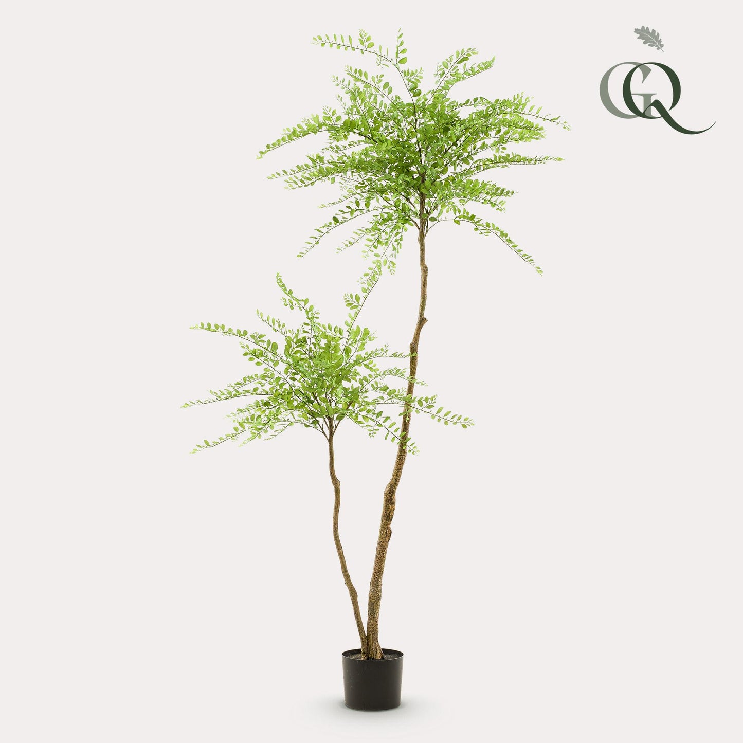 Kunstpflanze Sophora Tree 190 cm – Honigbaum | Pflanzfix24.de - Pflanzfix24.de