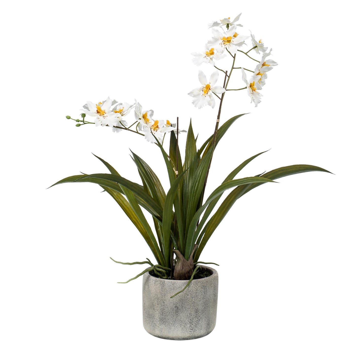 Kunstpflanze Orchidee Weiß 45 cm | Pflanzfix24.de - Pflanzfix24.de