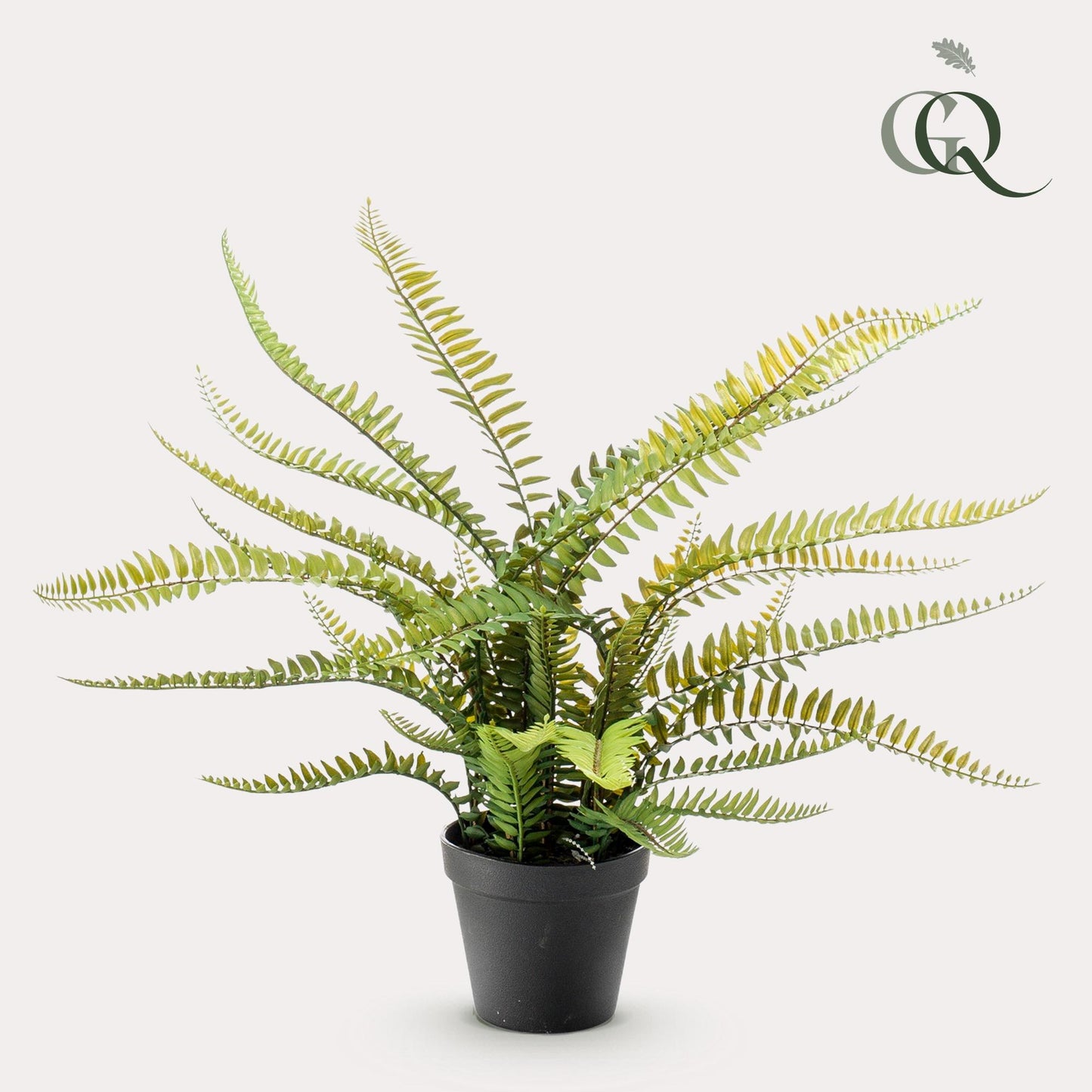 Kunstpflanze Nephrolepis Exaltata Boston Farn 55 cm – Pflegeleicht & Realistisch | Pflanzfix24.de - Pflanzfix24.de