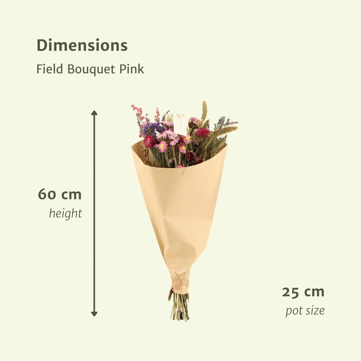 12x Field Bouquet Pink – Trockenstrauß in Rosa | Pflanzfix24.de - Pflanzfix24.de
