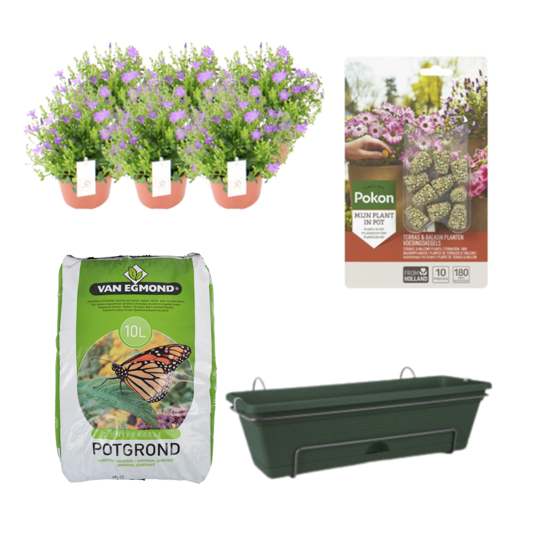 Balkonpflanzgefäß Grün DIY-Set - Campanula bei Pflanzfix24.de - Pflanzfix24.de
