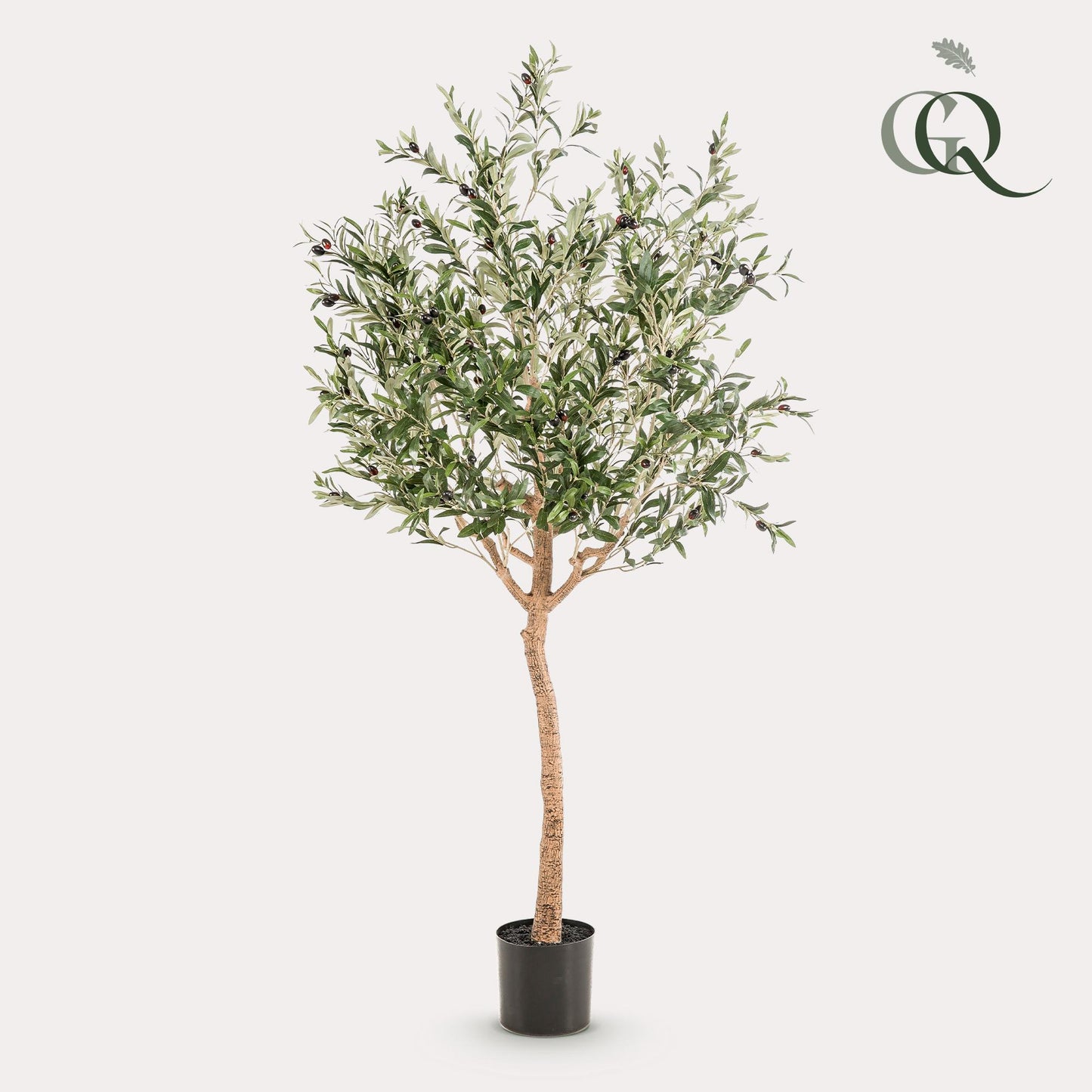 Kunstpflanze Olea europaea Olivenbaum 180 cm – Pflegeleicht & Dekorativ | Pflanzfix24.de - Pflanzfix24.de