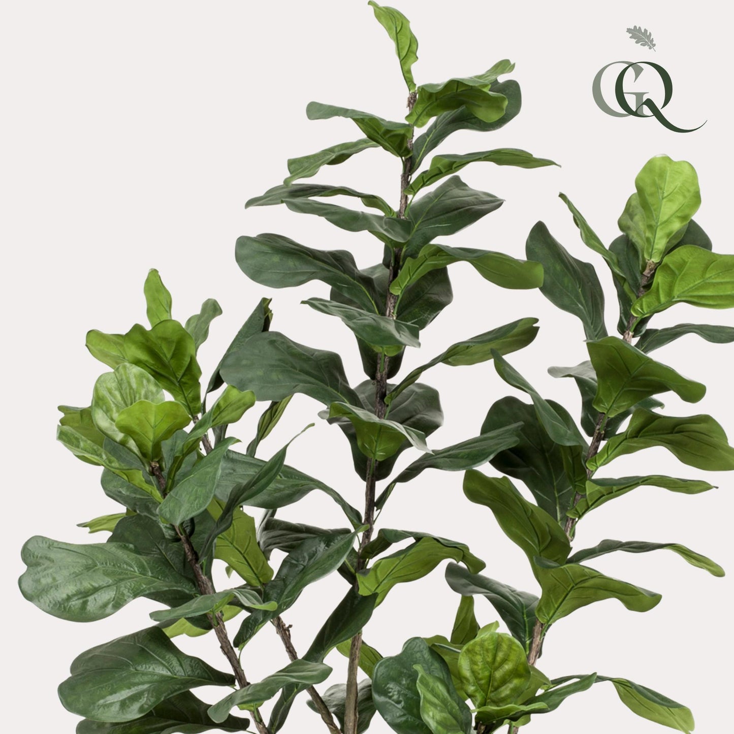 Kunstpflanze Ficus Lyrata 210 cm | Pflanzfix24.de - Pflanzfix24.de