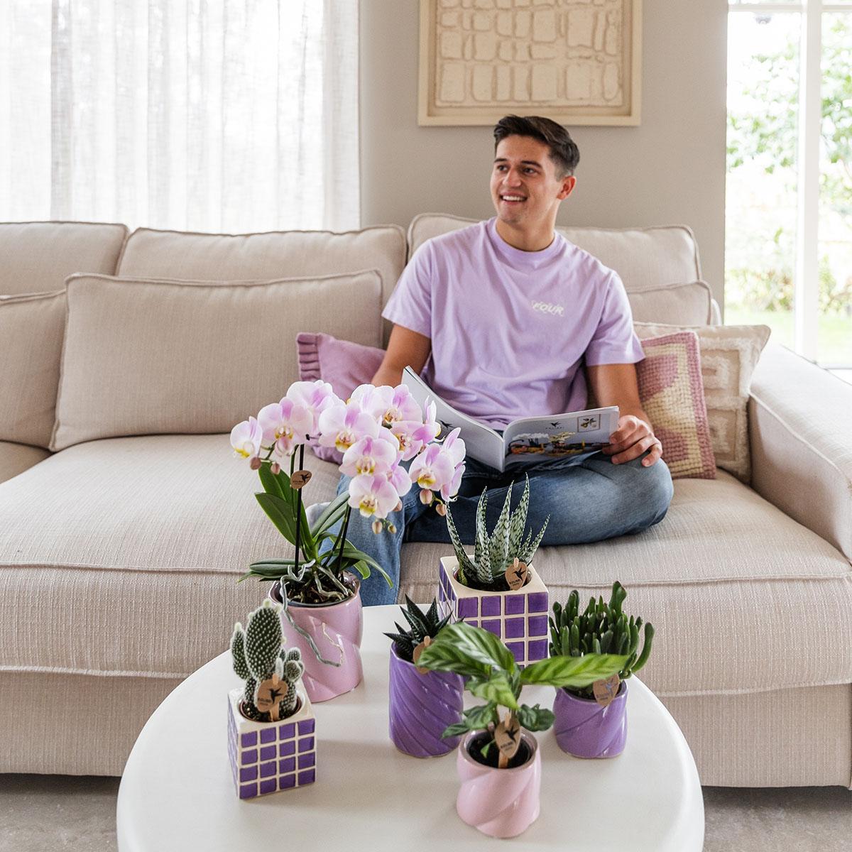 Kolibri Home Mosa Ziertopf Lilac 9cm – pflanzfix24