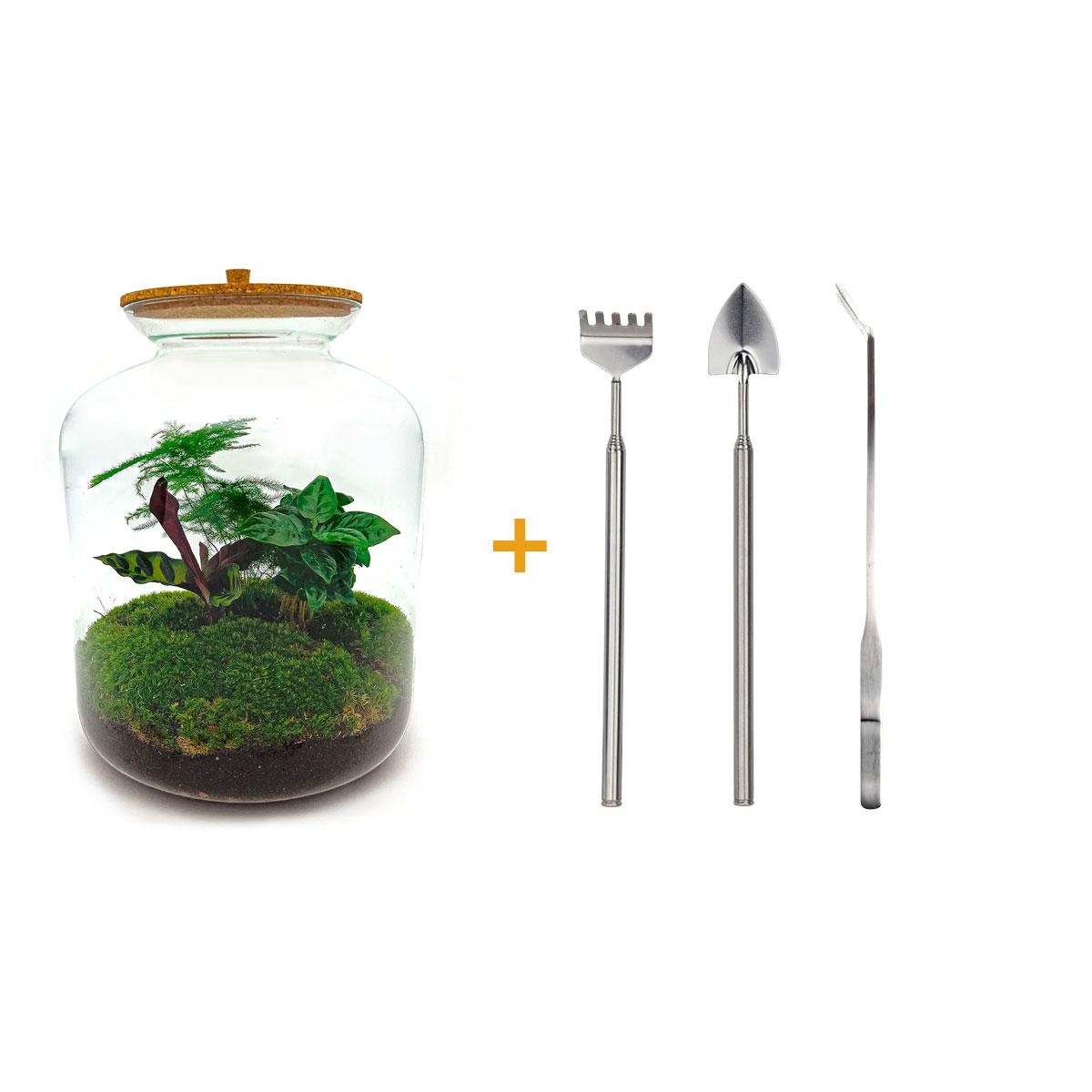 Flaschengarten - Lukas - Rake + Shovel + Tweezer - Pflanzfix24