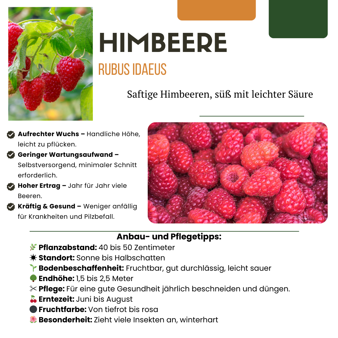BIO Obstpflanzen-Set 5er Mix „Früchte-Oase“ – Pflanzfix24.de - Pflanzfix24.de