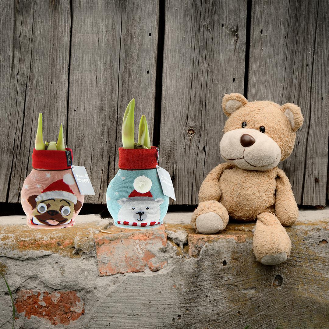 No Water Flowers® Fashionz Xmas Fun Dog & Bear Mix (2 pack) + Red flower - Pflanzfix24