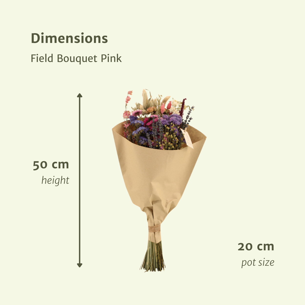 Trockenblumenstrauß Rosa Ø20 cm – Pflanzfix24.de - Pflanzfix24.de