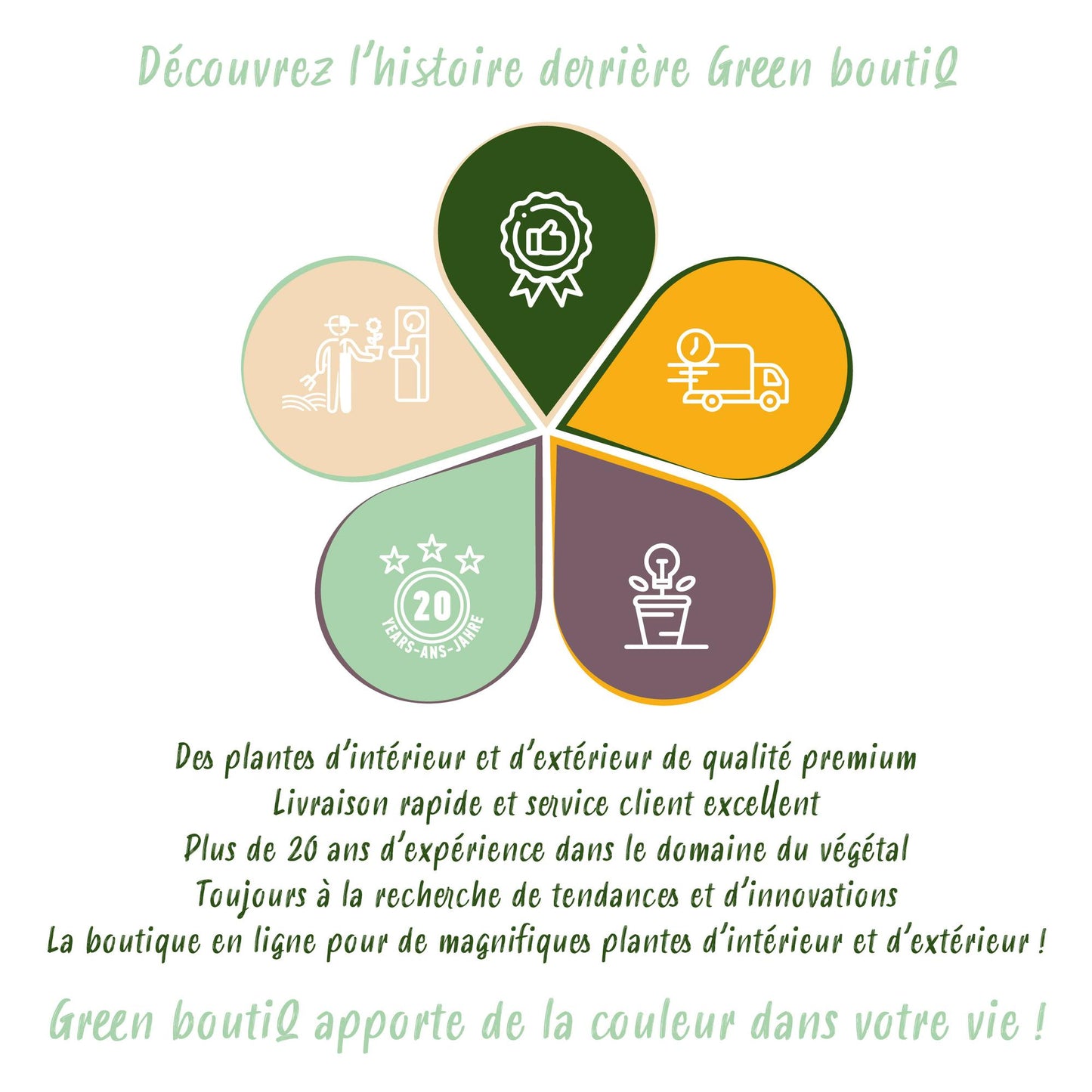 GreenboutiQ - Staudenpaket Weiß - 24 Stauden - 3 m2 - Wenig Pflege - Pflanzfix24.de - Pflanzfix24.de