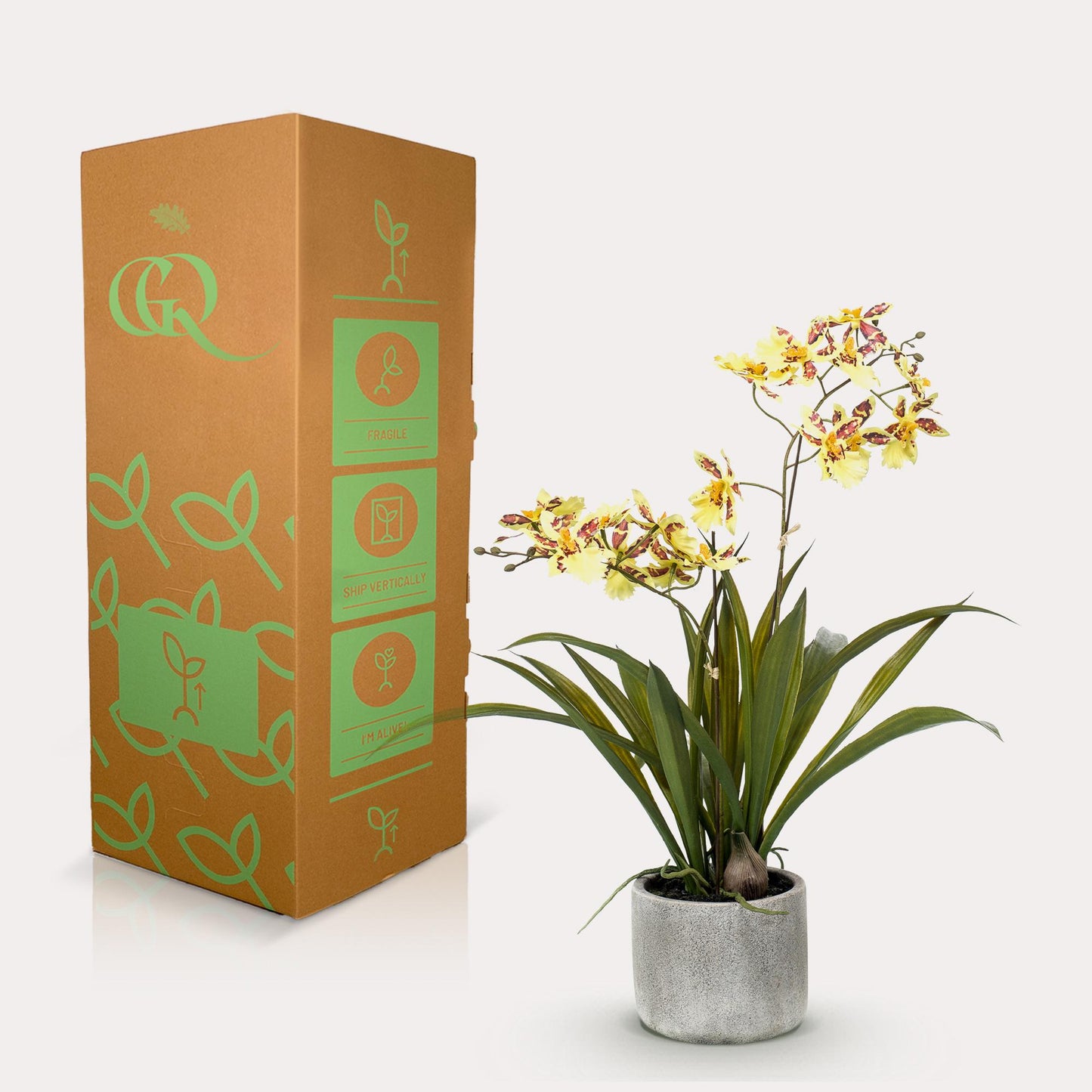 Kunstpflanze Orchidee Gelb 45 cm | Pflanzfix24.de - Pflanzfix24.de