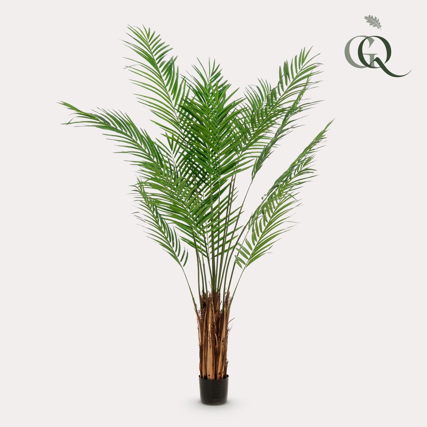 Kunst-Goldpalme Areca Lutescens 180 cm – Pflanzfix24.de - Pflanzfix24.de