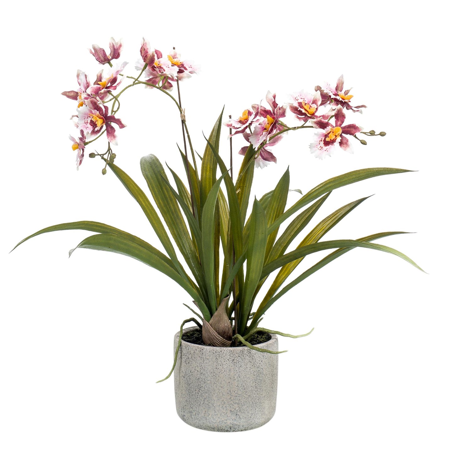 Kunstplant - Orchidee - Bordeaux - 45cm - Pflanzfix24