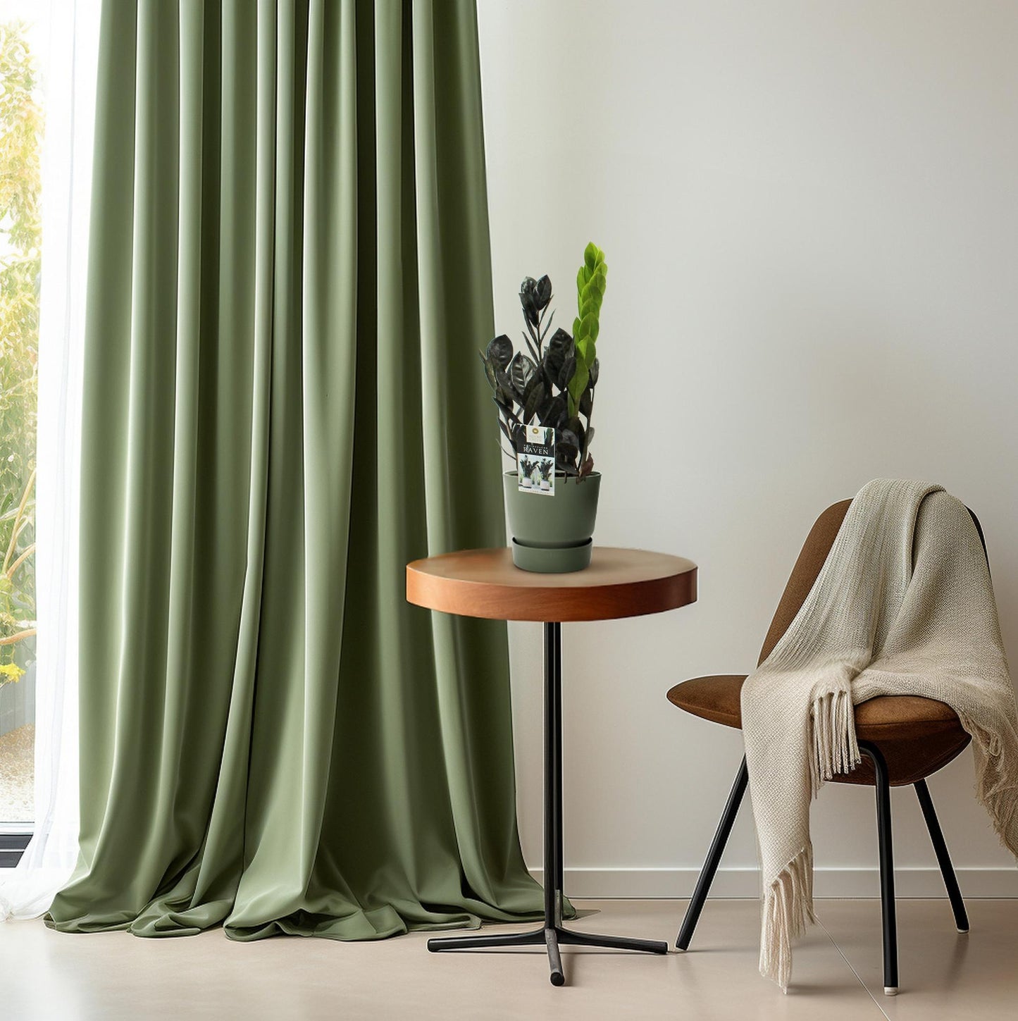 Zamioculcas Raven - Ø14cm - ↕45cm bei Pflanzfix24