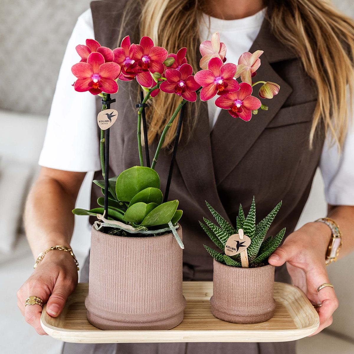 Bali Blumentopf Sand Ø6cm - Kolibri Home | Pflanzfix24.de - Pflanzfix24.de
